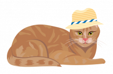 Kater Misti aus dem Katzenkrimi von Elisabeth Grimm