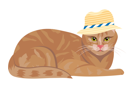 Kater Misti aus dem Katzenkrimi von Elisabeth Grimm