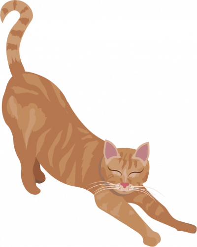 Kater Misti aus der Cosy Crime Serie Lenas Café von Elisabeth Grimm